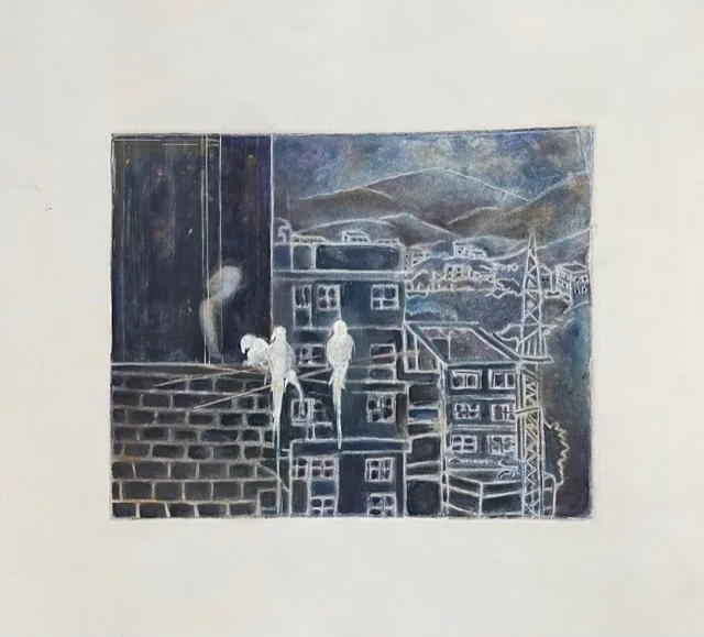 Happy Birds, Sad City