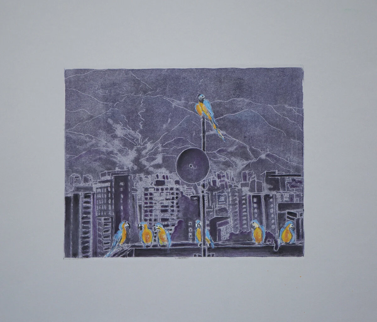 Happy Birds, Sad City