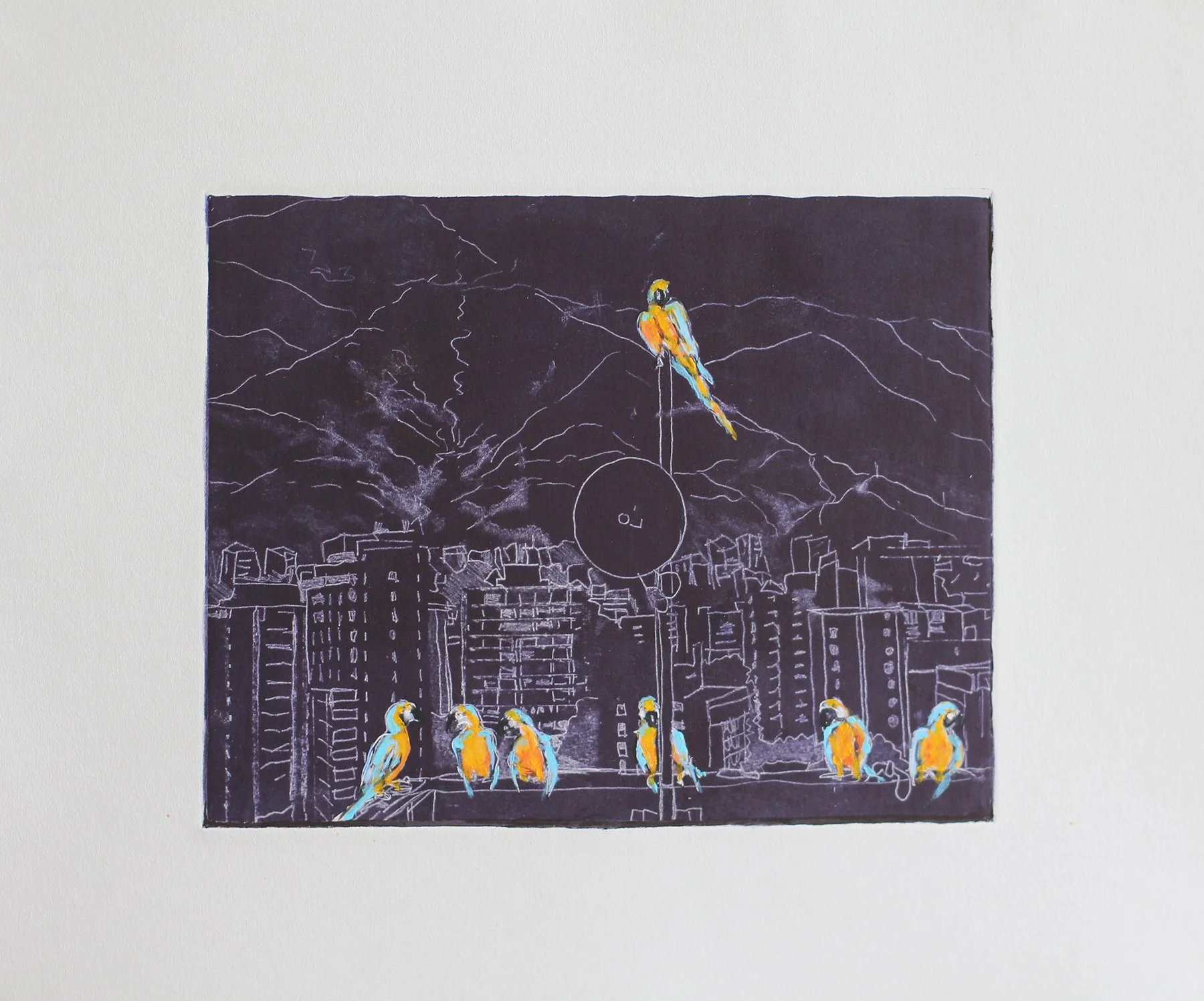 Happy Birds, Sad City
